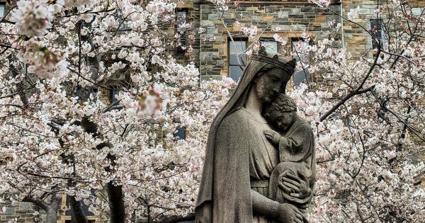Statue of Blessed Virgin Mary and Christ Child with cherry blossoms