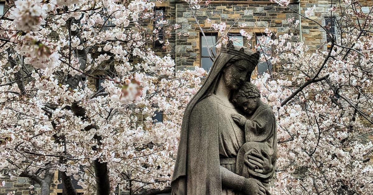 Statue of Blessed Mary and Christ Child surrounded by cherry blossoms