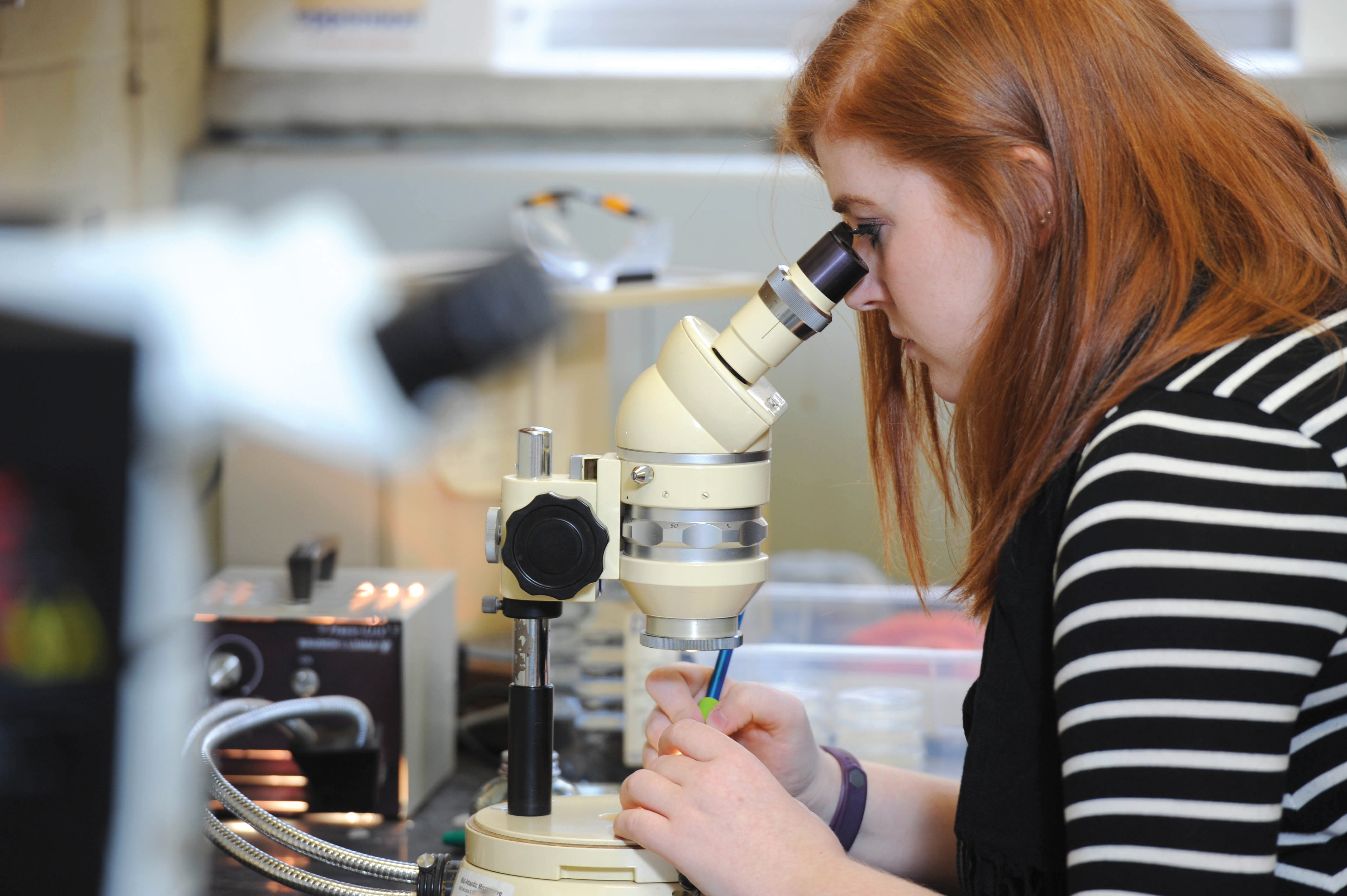 Student looking through a microscope