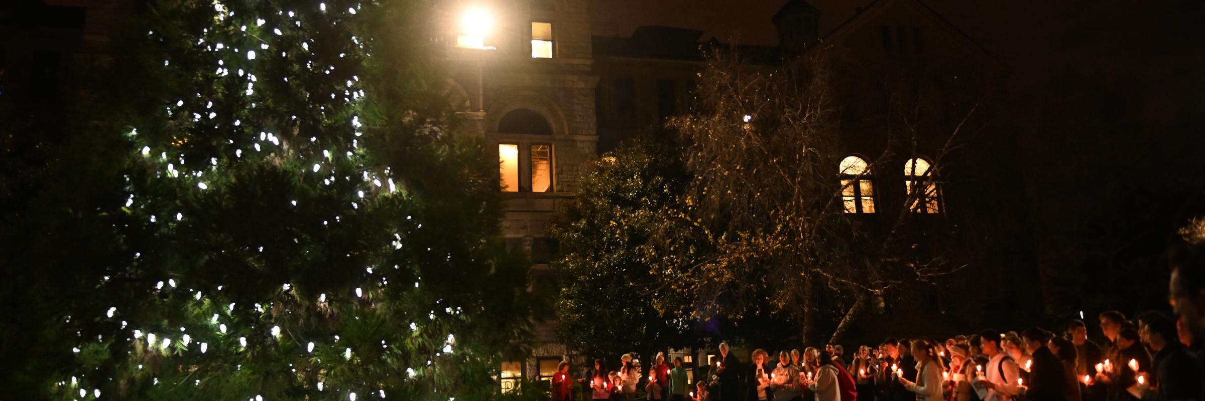 Christmas Tree Lighting Ceremony