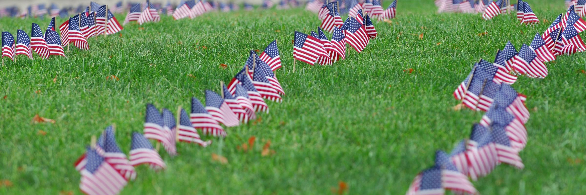 American Flags across campus lawn