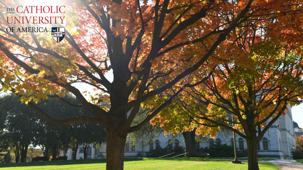 Fall Foliage