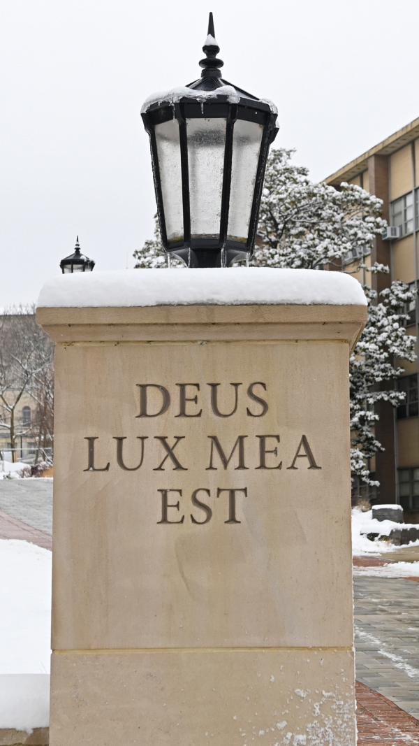 DEUS LUX MEA EST Phone Background