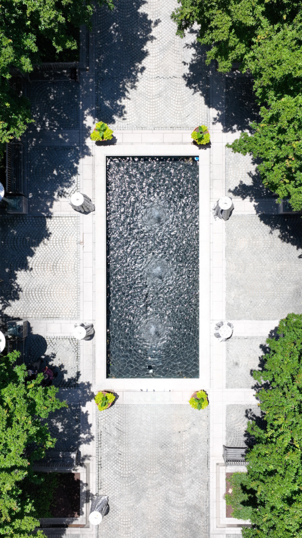 Law School Quad Phone Background