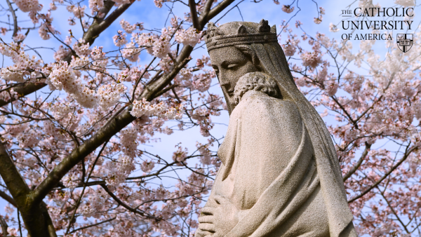 Cherry Blossom Mary Background