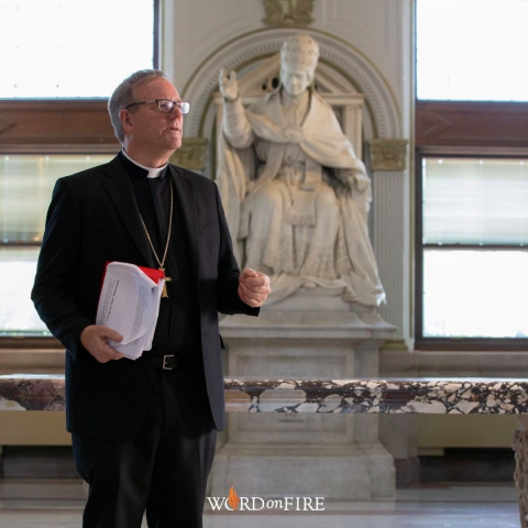 Bishop Robert Barron